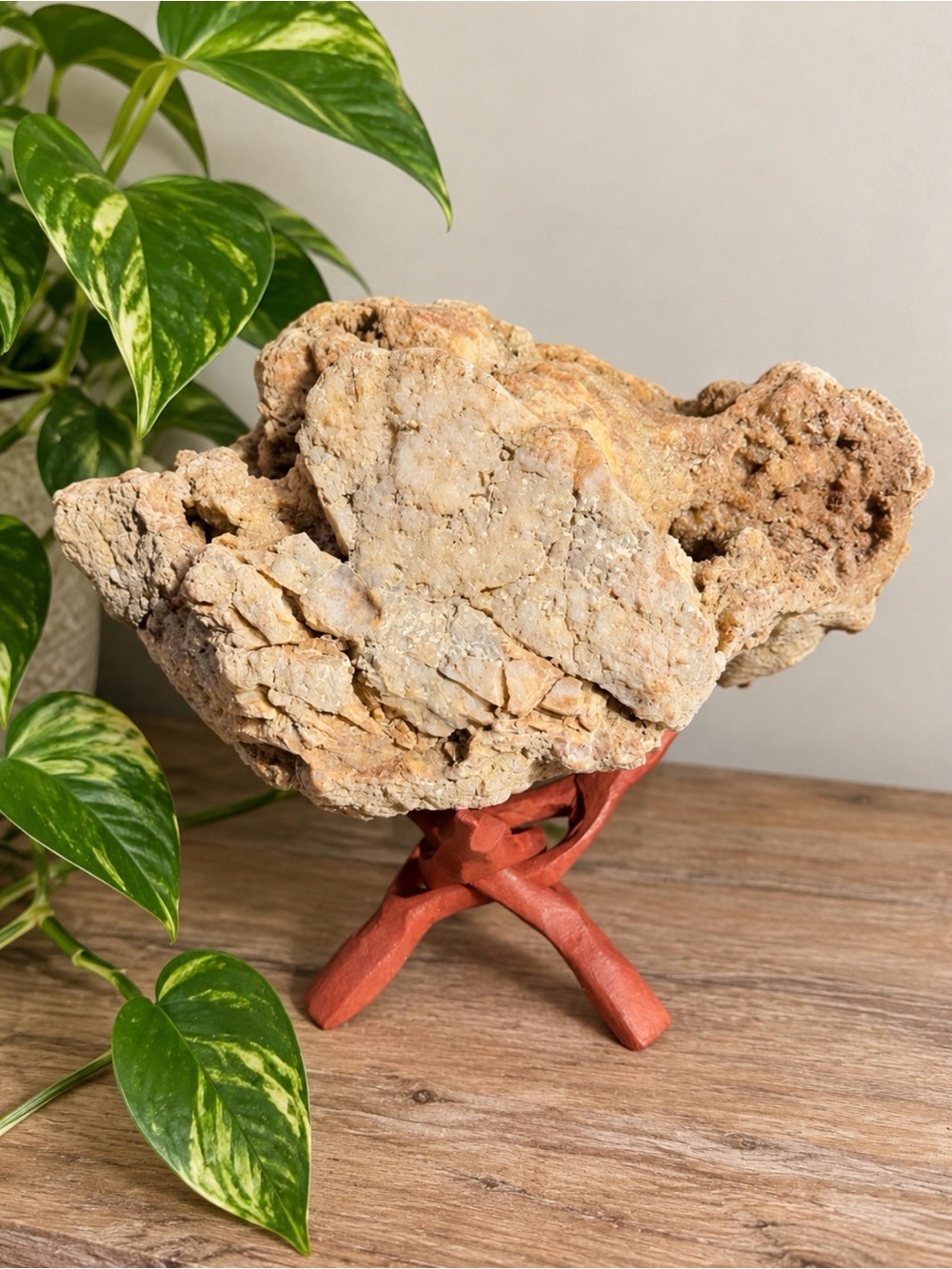 OMGeode! | Nearly 13lbs. | Many Vugs